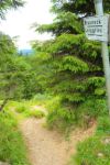 2014-07-05_Laengental-N-Hochweg (899). JPG